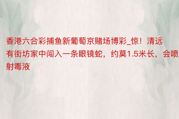 香港六合彩捕鱼新葡萄京赌场博彩_惊!清远有街坊家中闯入一条眼镜蛇,约莫1.5米长,会喷射毒液