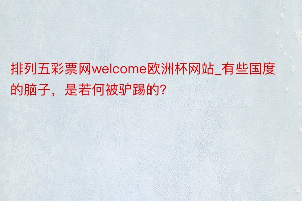 排列五彩票网welcome欧洲杯网站_有些国度的脑子，是若何被驴踢的？