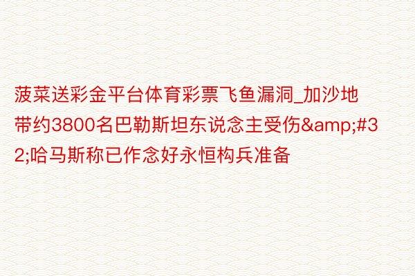 菠菜送彩金平台体育彩票飞鱼漏洞_加沙地带约3800名巴勒斯坦东说念主受伤&#32;哈马斯称已作念好永恒构兵准备